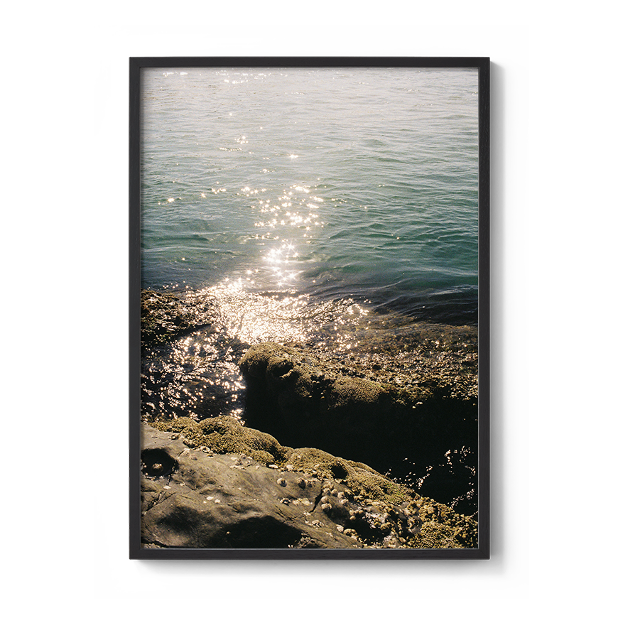 Transparent_WatersEdge-BlackFullBleed.png