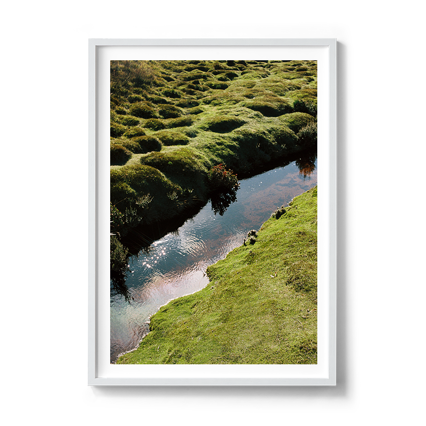 Transparent_MeadowStream-WhiteFrame.png