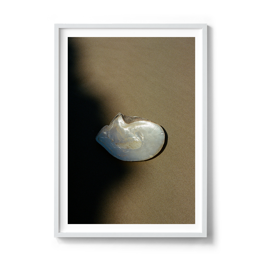 Transparent_SeaTreasure-WhiteFrame.png