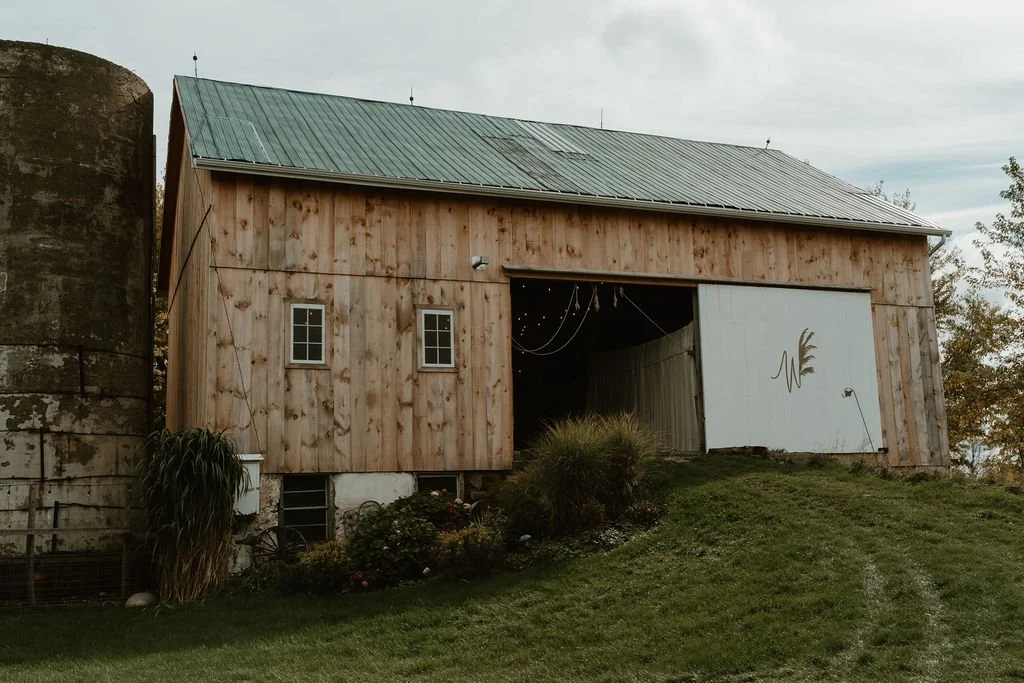 untitled-103 (1).jpg