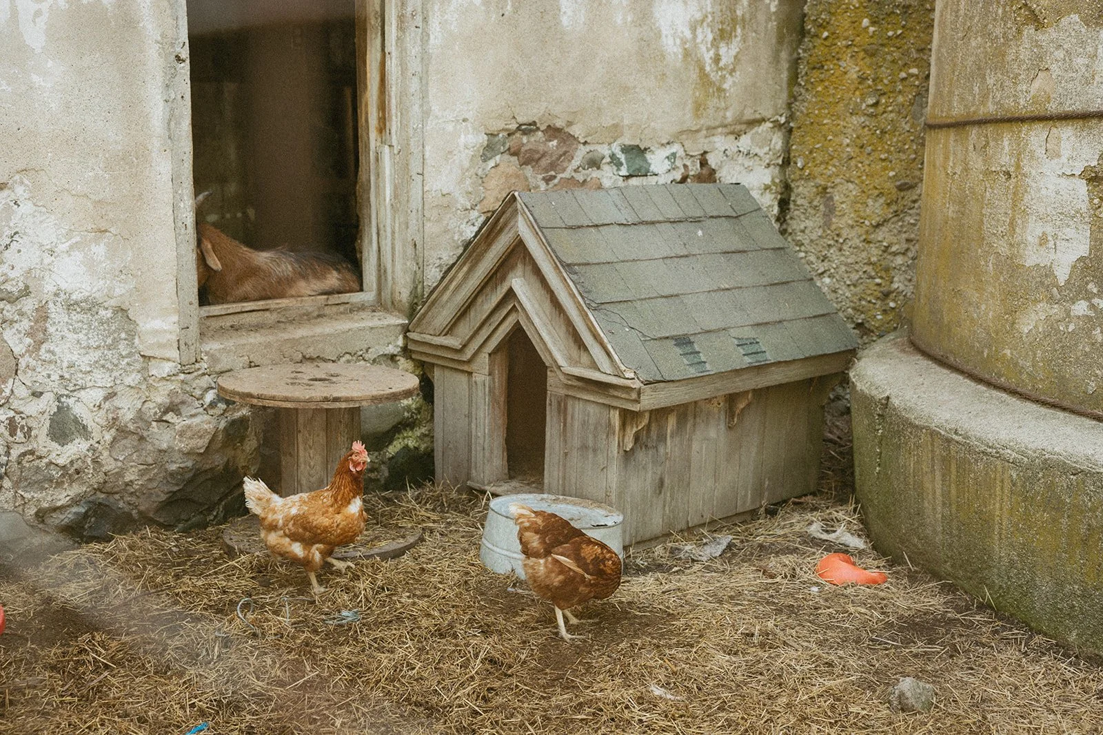 DebAlexWedding_CocktailHour_BrynnePhoto-102_websize (1).jpg