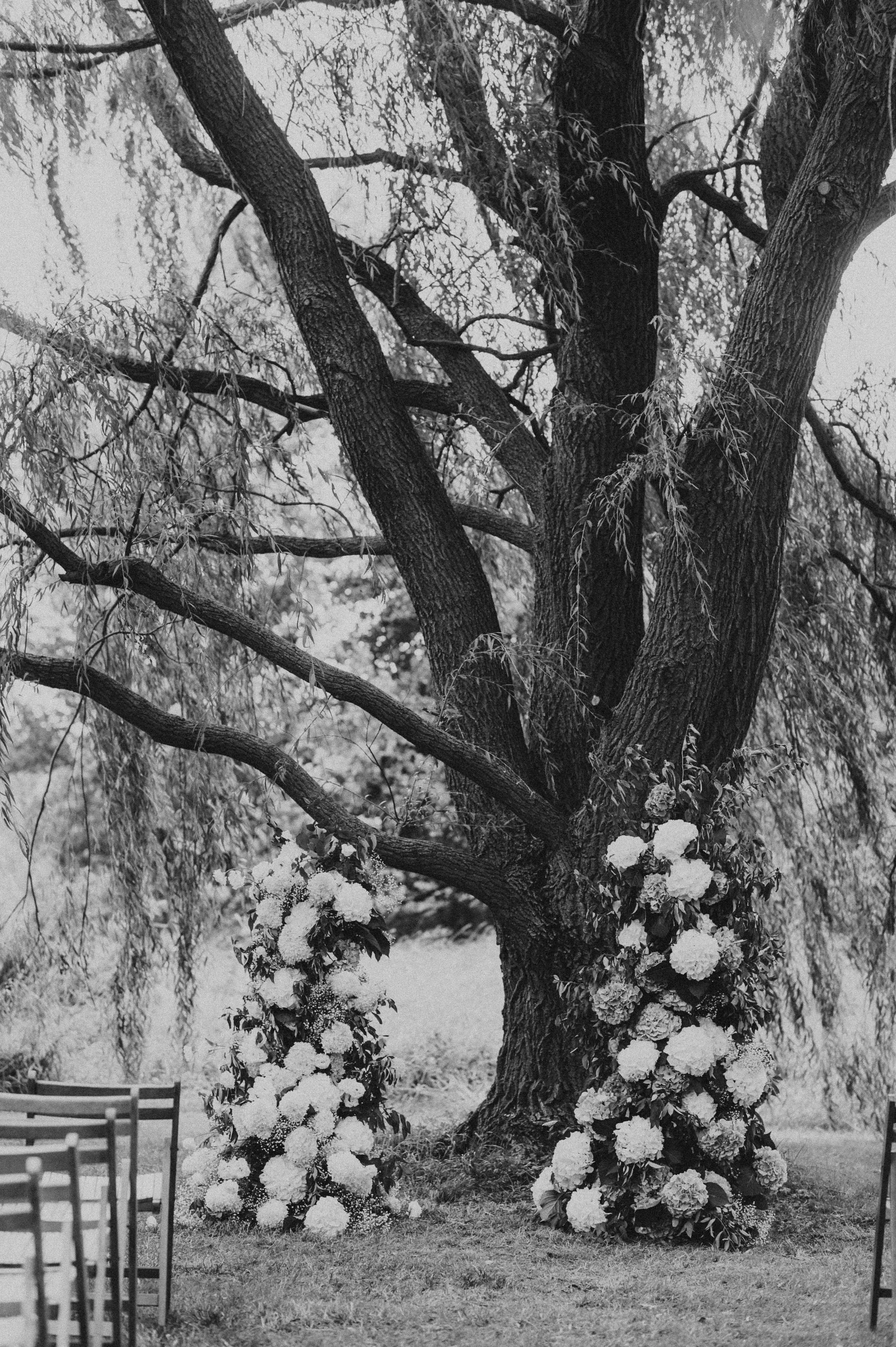 capturedbykrissy-25-2 (1).jpg