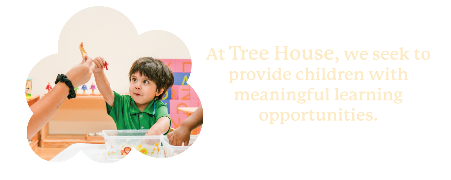 Tree House Montessori Learning Center tree-house-montessori-learning-center