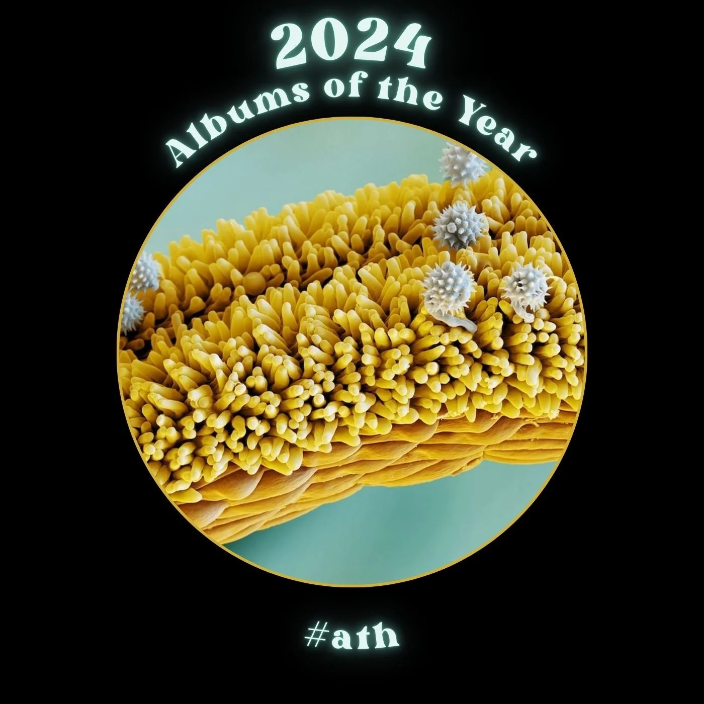 Top 25 Albums of 2024