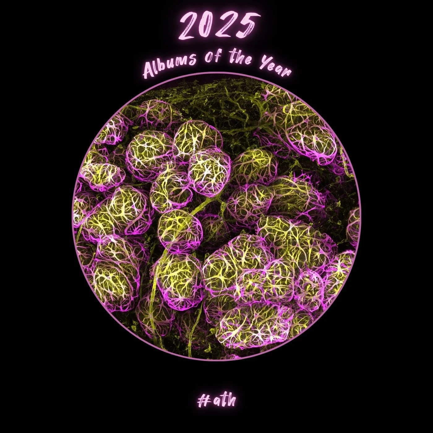 Top 25 Albums of 2025