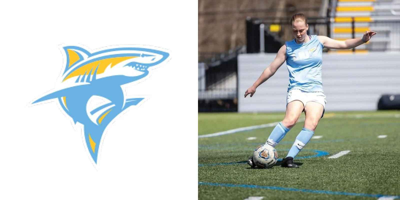 Stylized shark logo on the left, soccer player in light blue uniform kicking a ball on a field on the right.