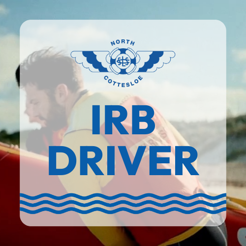 IRB Driver