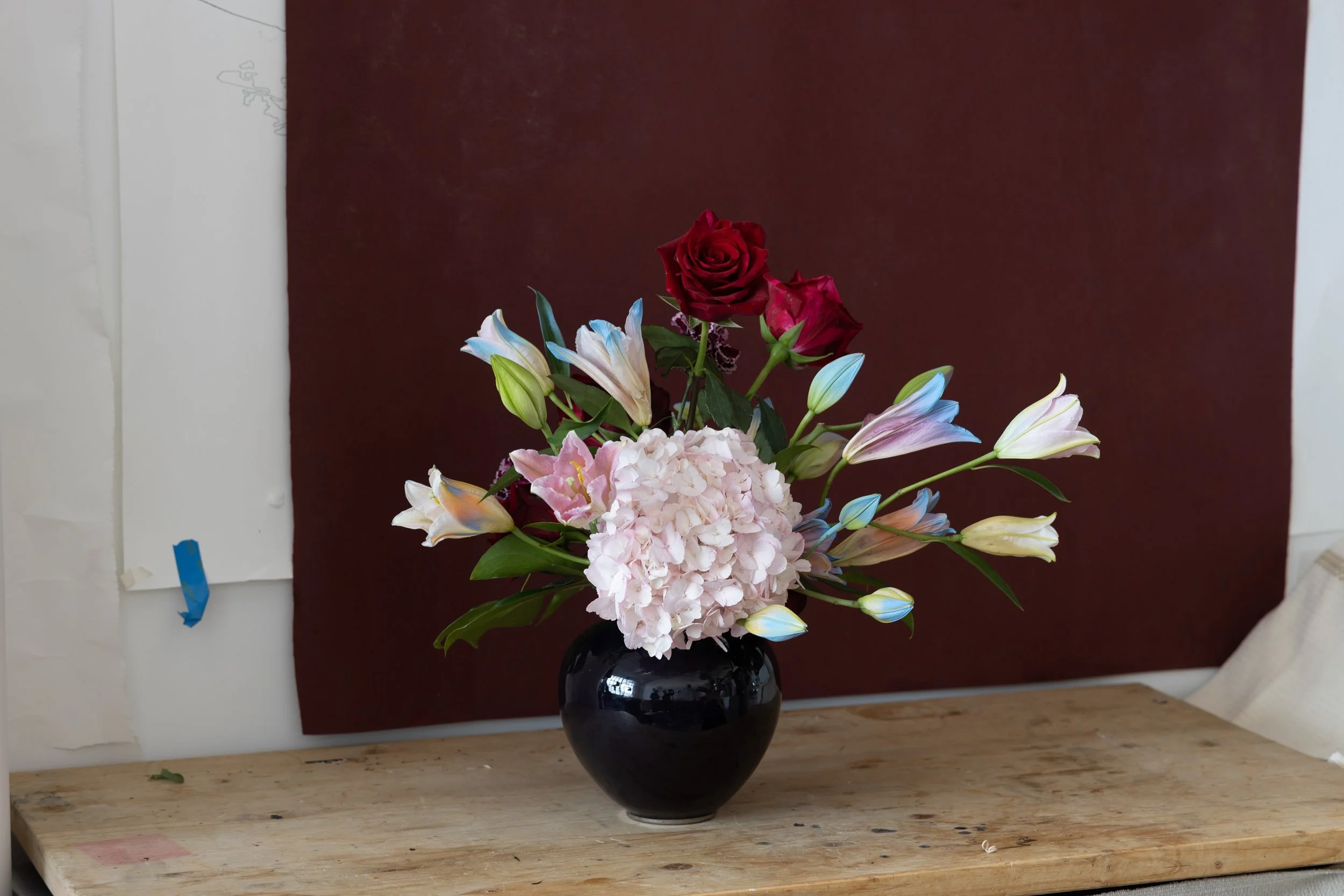 Shane_S_9 Georgia &Georgia_2025.jpeg