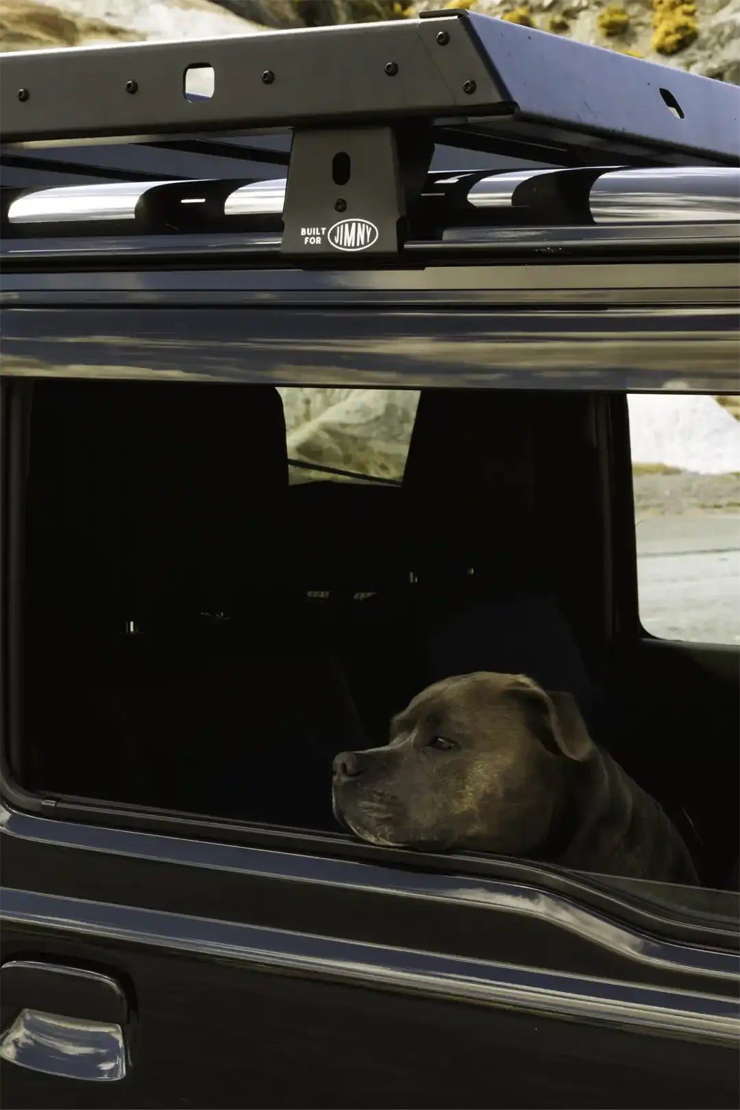 Dog + Jimny JB74.webp