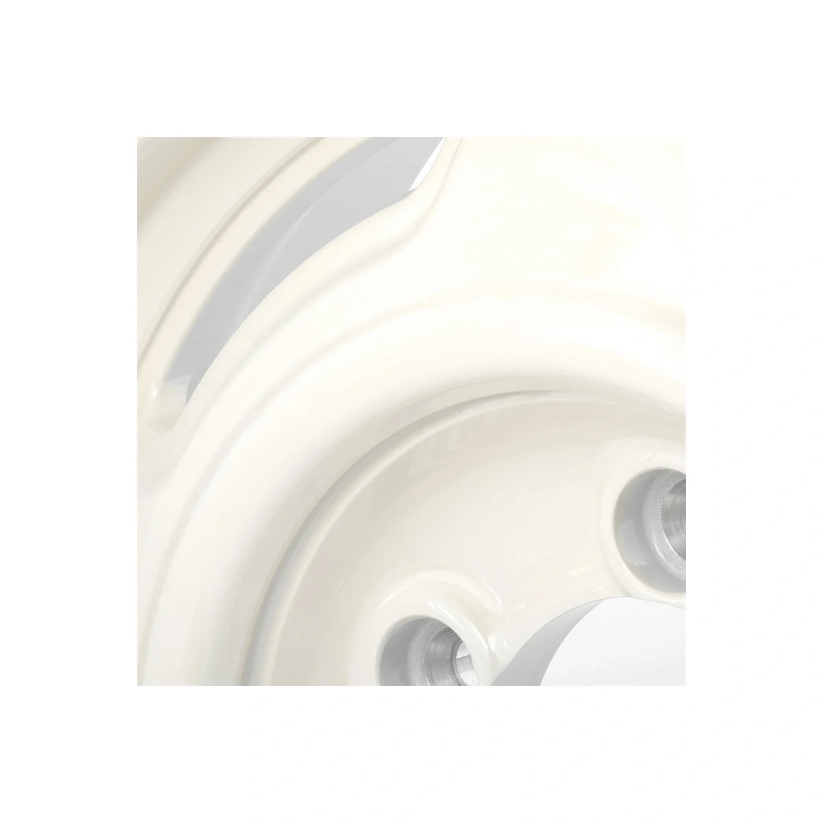 Apio White Wildboar 15" Close Up.webp