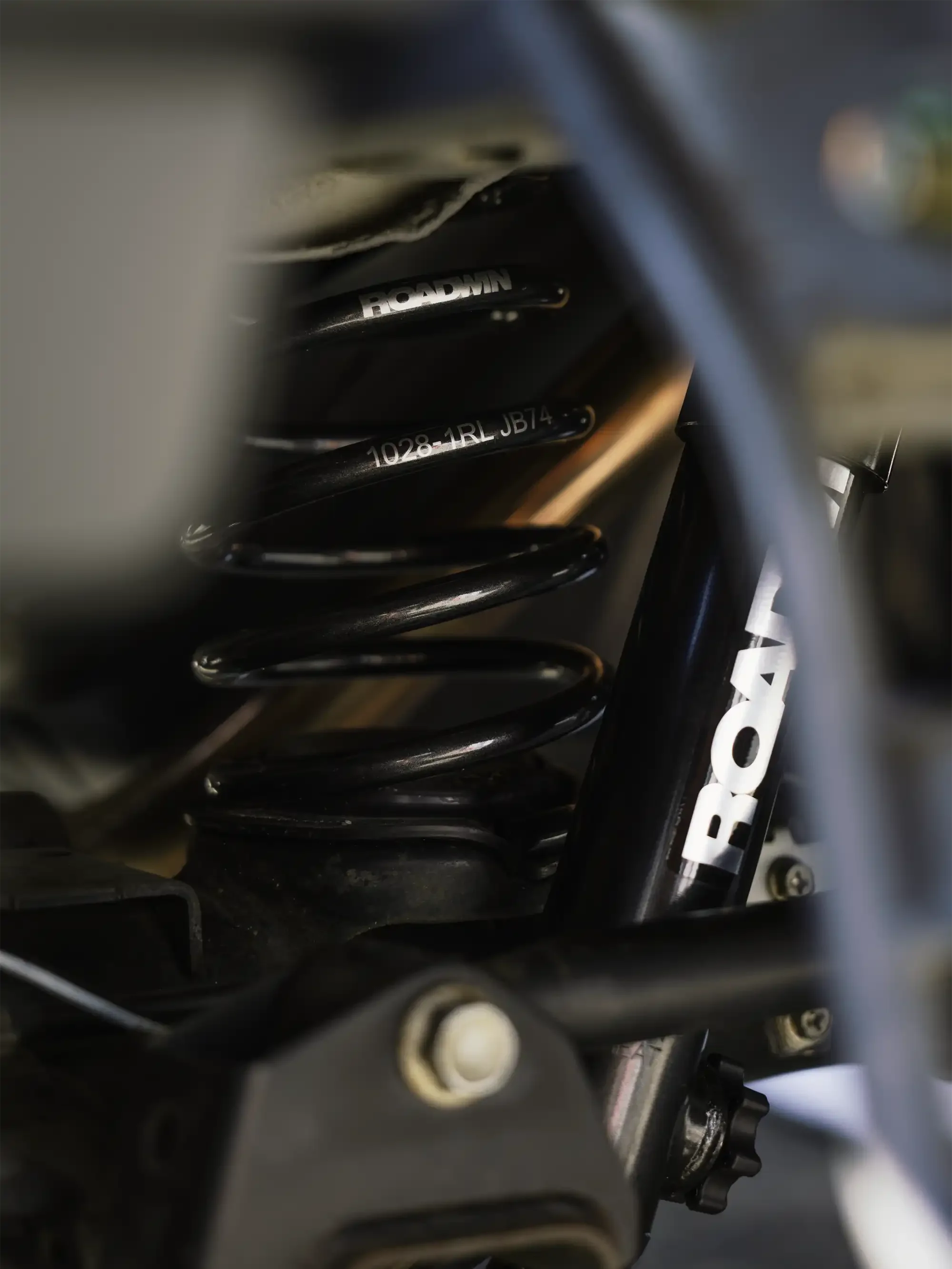 Skinny Jim APIO Roadwin Shocks + Springs.webp