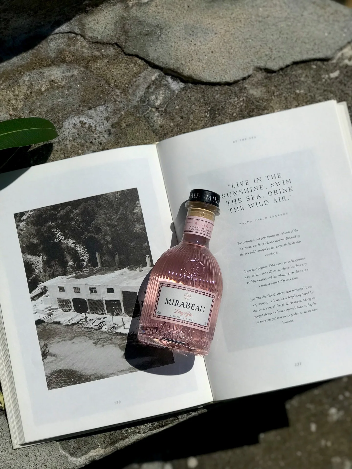 An ordinary day in Positano with the essentials. 📖 🥃🌊