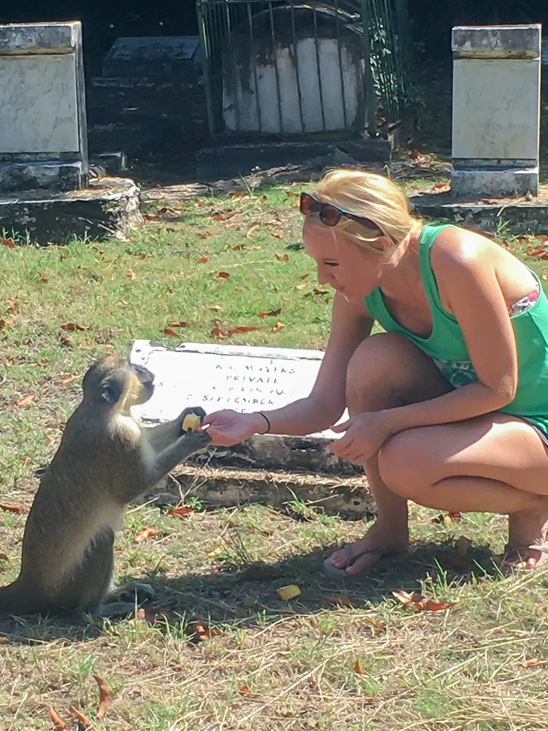 IMG-20221220-WA0035 copy-1500.webp