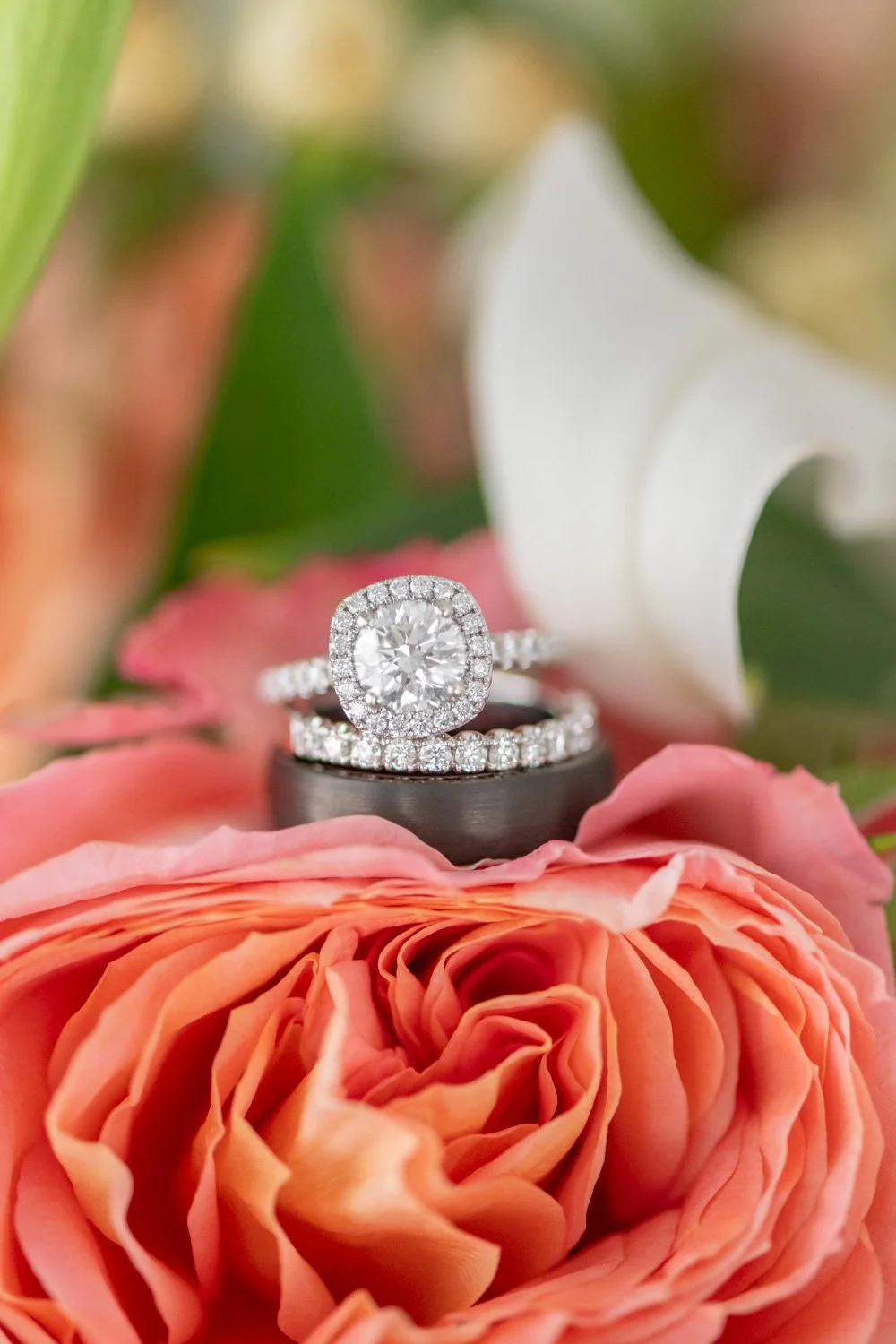 Corolla Wedding Photographer