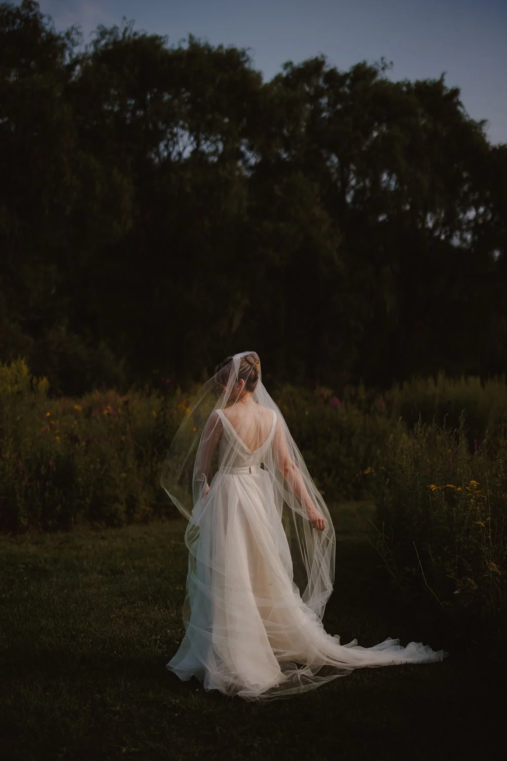 Bride in a flowing veil standing in tall grass, backlit by the setting sun.