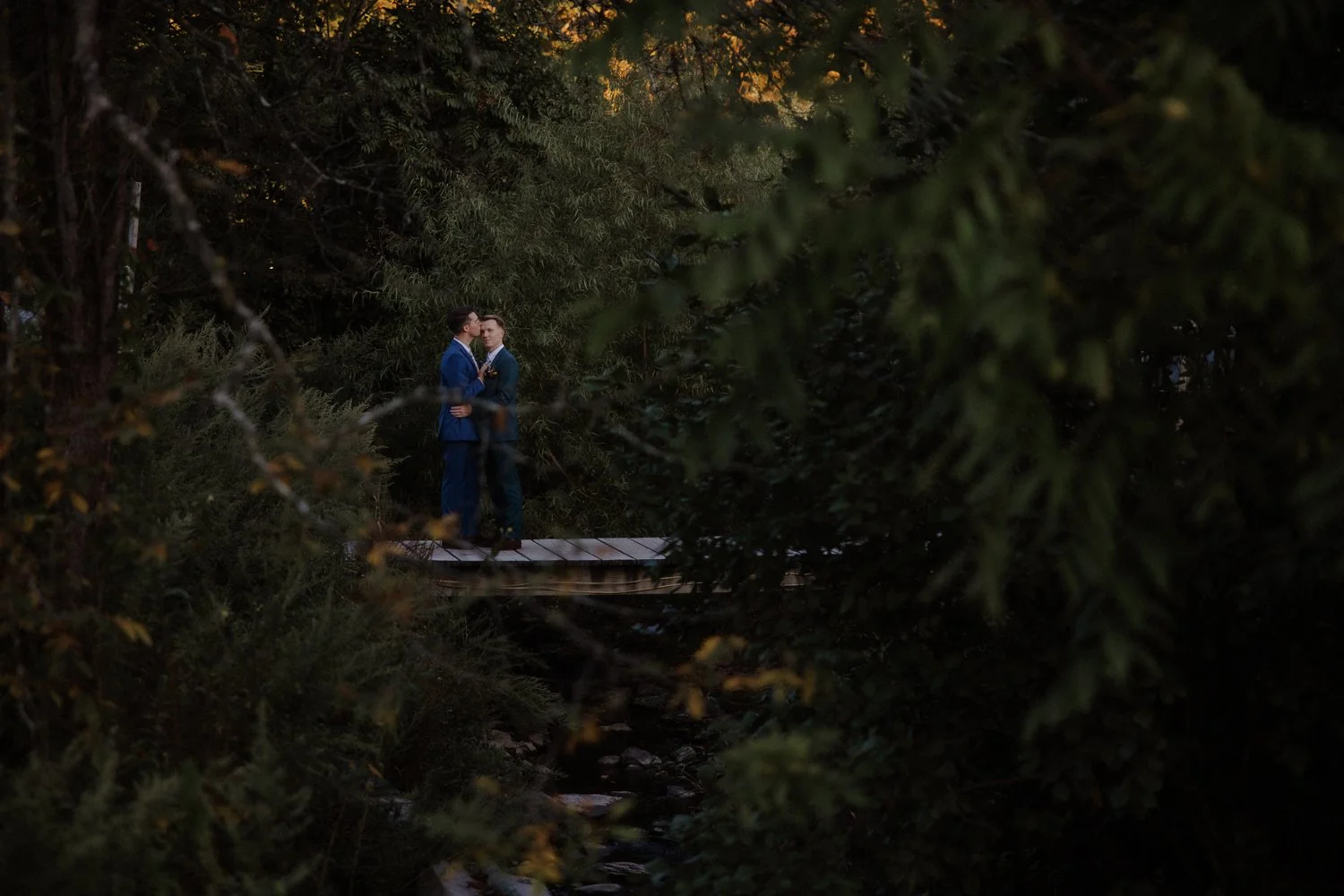 Two Grooms sharing a quiet moment on a wooden dock tucked into the trees.