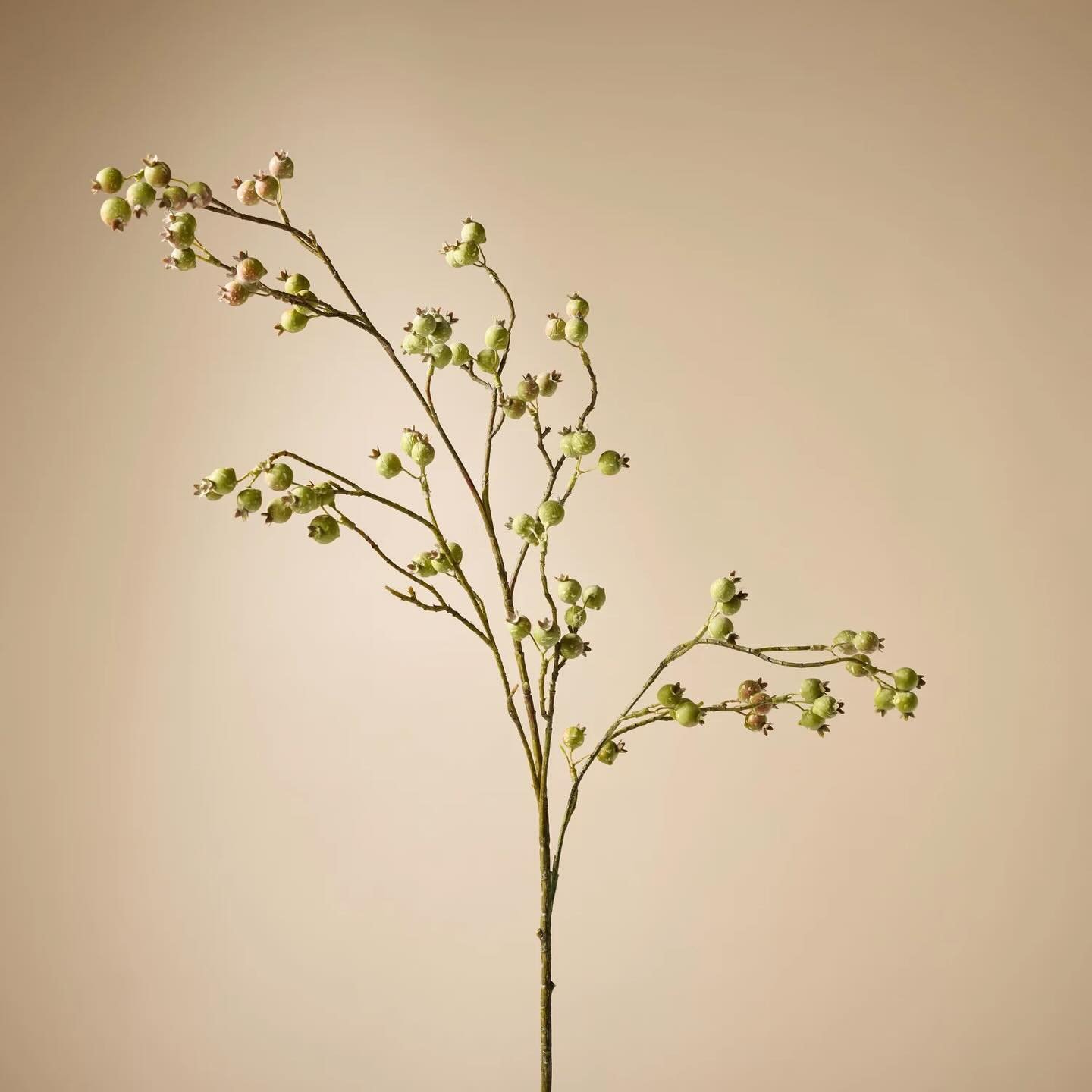 Give your bouquets, bunches and floral arrangements quirky appeal with these faux Berry Spray. Featuring beautiful green berries on sturdy brown stems, they bring the character of real wildflowers into the comfort of home.

102cm height, available in