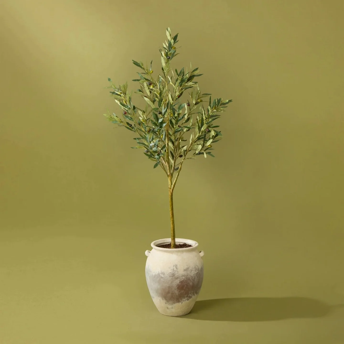 Endless Mediterranean charm.

Evoke the sun-drenched groves of the Mediterranean with the Faux Olive Tree in a stylish Inga Vase. Standing tall at 166cm, this faux olive tree showcases realistic foliage and delicate olive fruits, bringing a touch of 