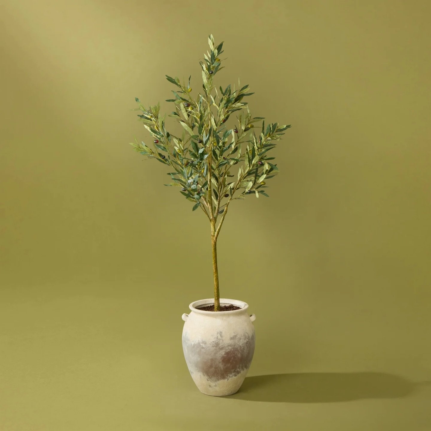 Endless Mediterranean charm.

Evoke the sun-drenched groves of the Mediterranean with the Faux Olive Tree in a stylish Inga Vase. Standing tall at 166cm, this faux olive tree showcases realistic foliage and delicate olive fruits, bringing a touch of 