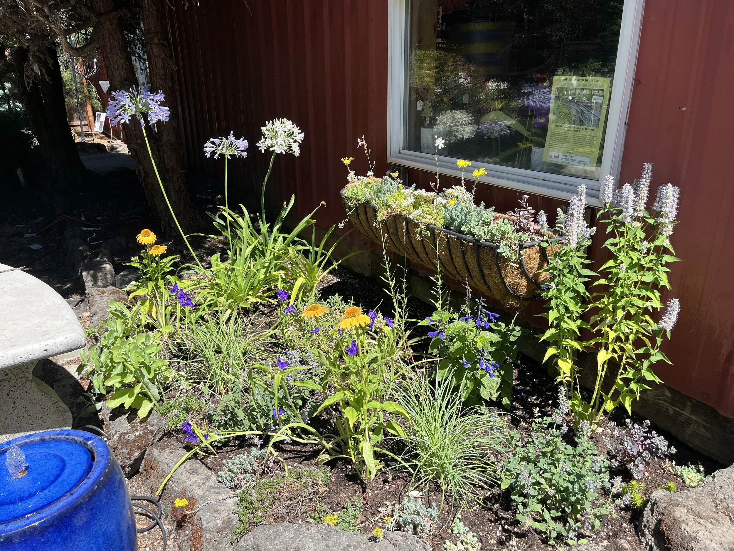 A small garden bed with yellow, purple, and white flowers alongside a blue water fountain, with a window and red exterior wall in the background.
