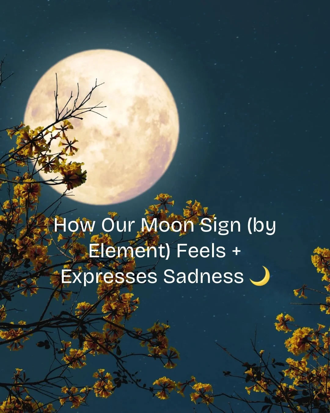 Sadness moves through each of us differently&hellip; and lately, my Aries Moon reminded me of its fire. When I heard about the passing of someone I deeply respected from my banking days &mdash; a true fighter, a woman who taught me what strength look