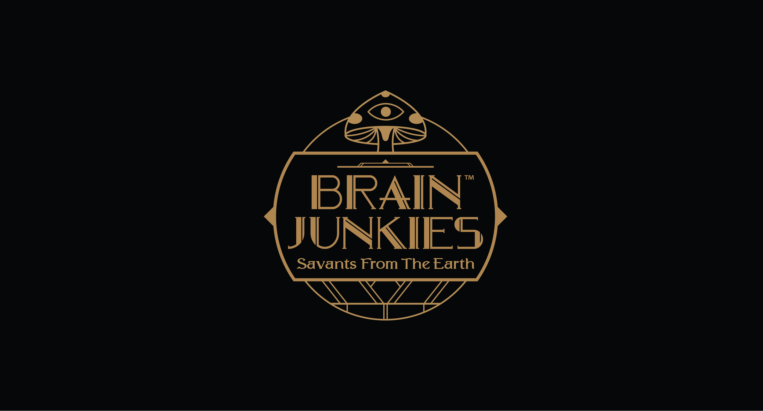 BrainJunkies Set_studio-11.png