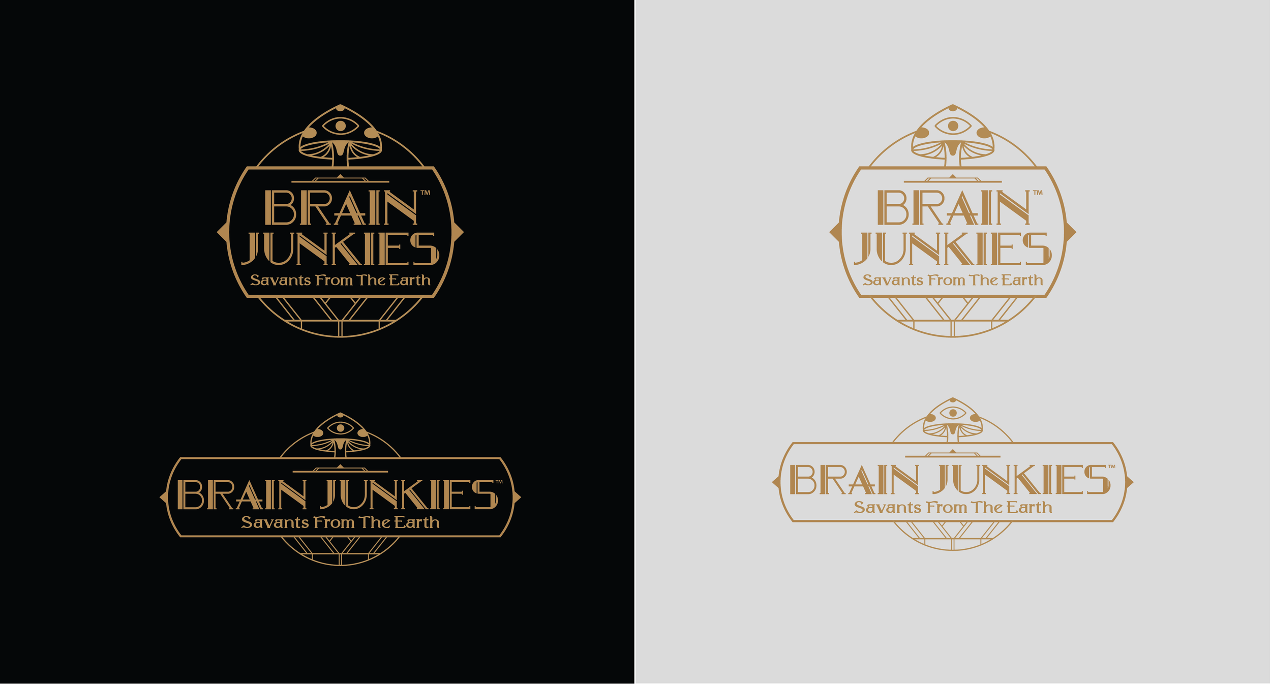 BrainJunkies Set_studio-01.png