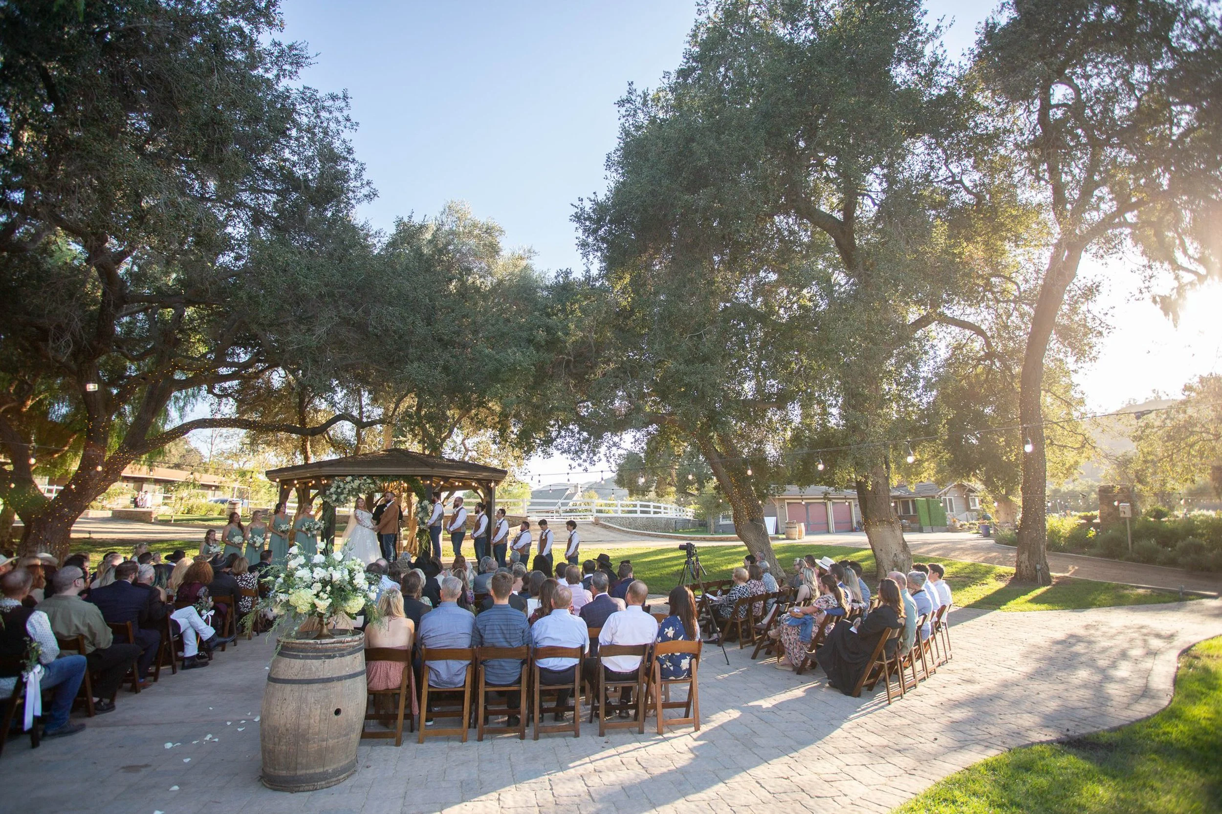 michele terry wedding photographer-35.jpg