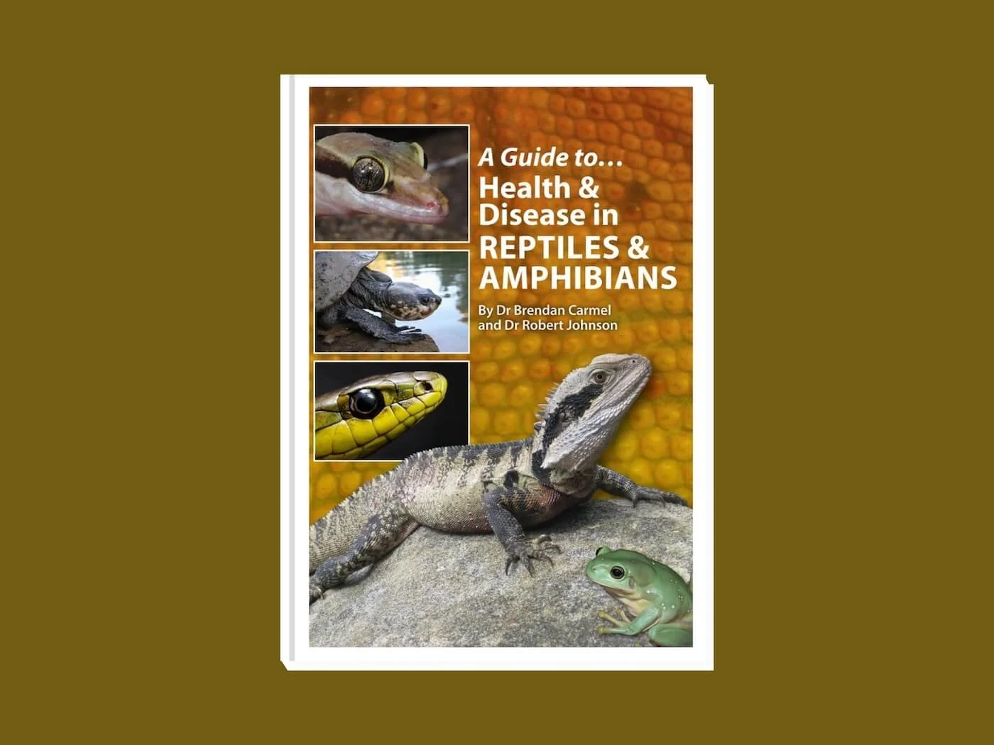 Reptile Health Care photo