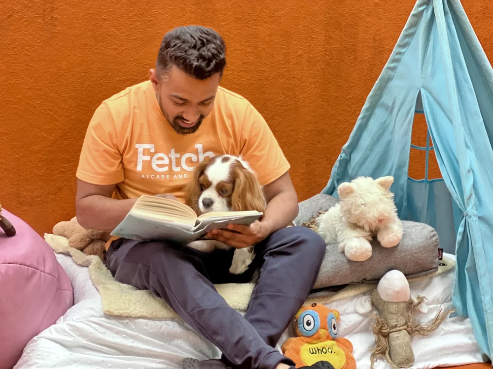 Fear Free certified handling during dog boarding at Fetch Dubai