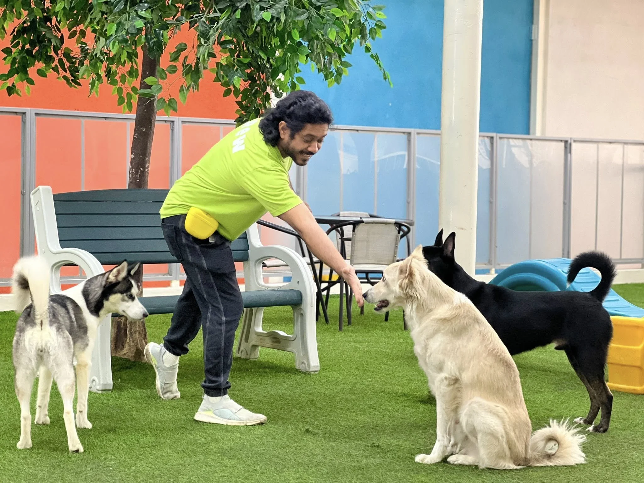 A Fetch Dubai team member in a green uniform giving a treat to a cream-coloured dog during an outdoor 1-to-1 session, with a husky and a black dog nearby on artificial grass inside the facility.