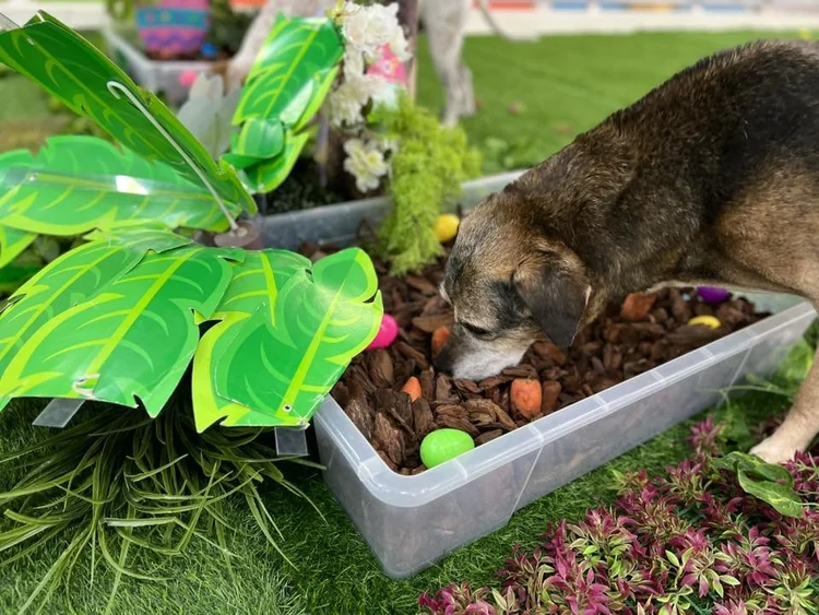 Sensory experience at Fetch Dubai