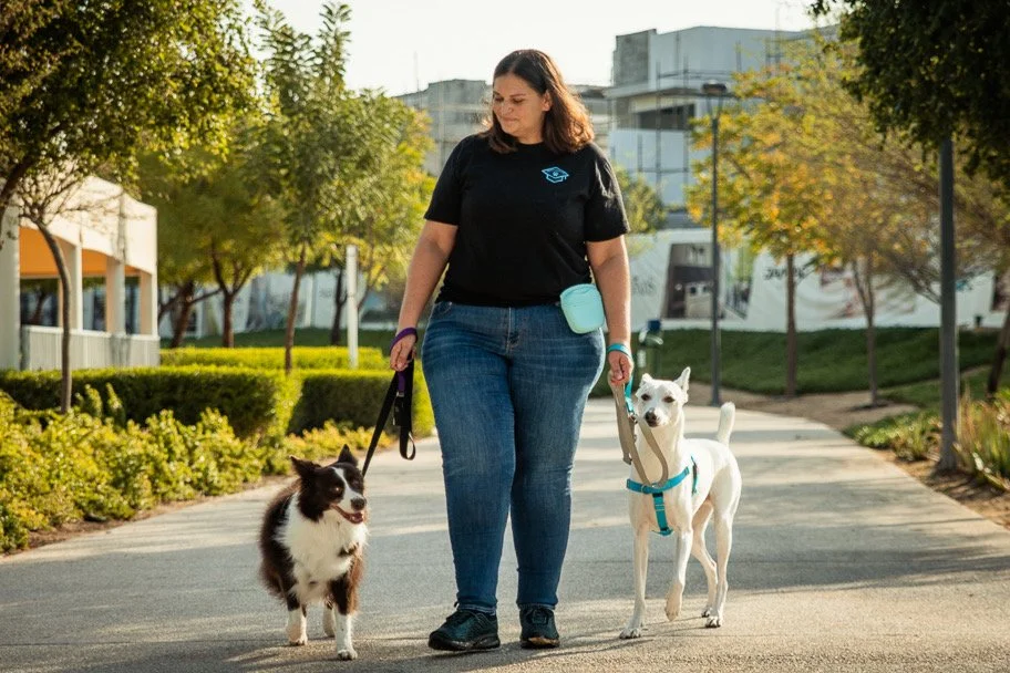 Aimee Ormee, behaviourist at Fetch Dubai