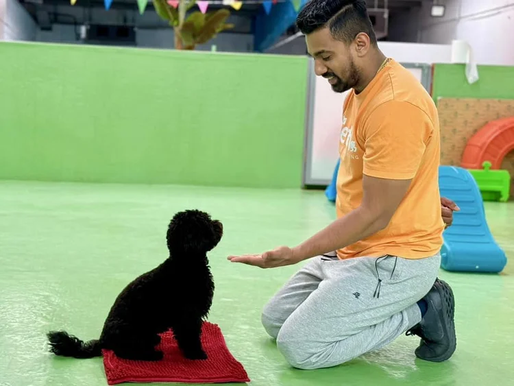Occupational engagement at Fetch Dubai