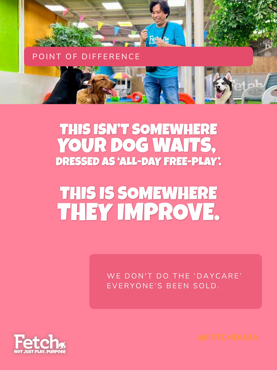 We Don't Do Daycare. Why Fetch Dubai Is a Different Category Entirely.