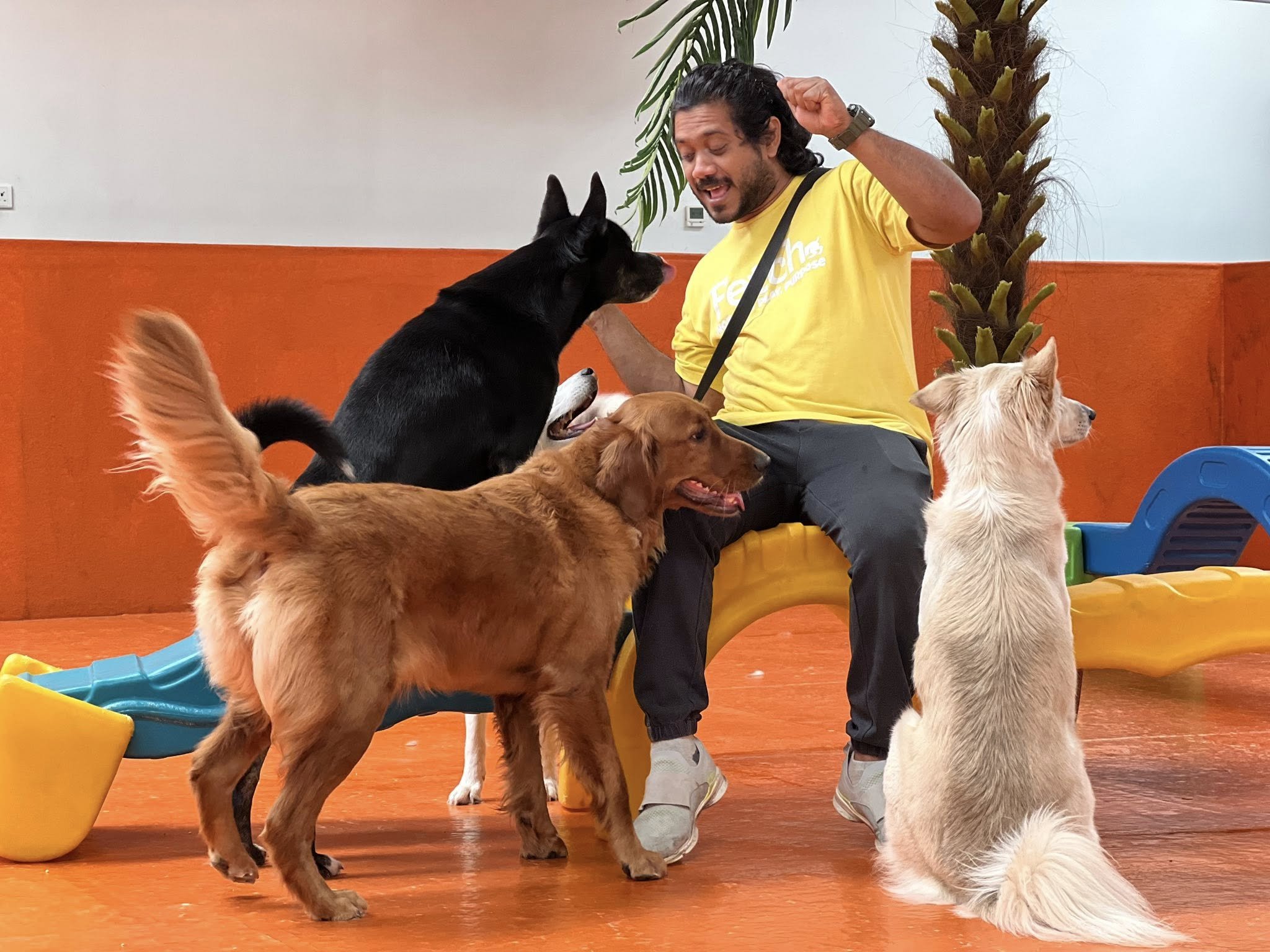 A Fetch Dubai team member in a yellow Fetch t-shirt interacts energetically with three dogs — a black mixed breed, a Golden Retriever, and a white mixed breed — inside an indoor play space with orange flooring.