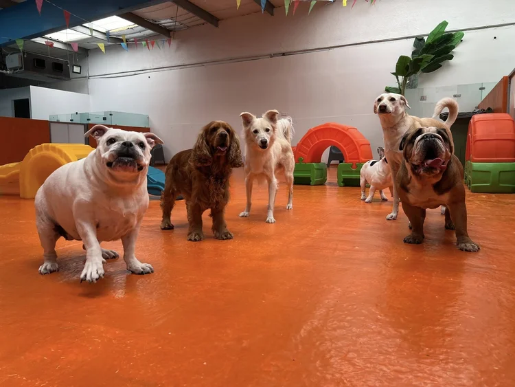 Physical fulfilment at Fetch Dubai