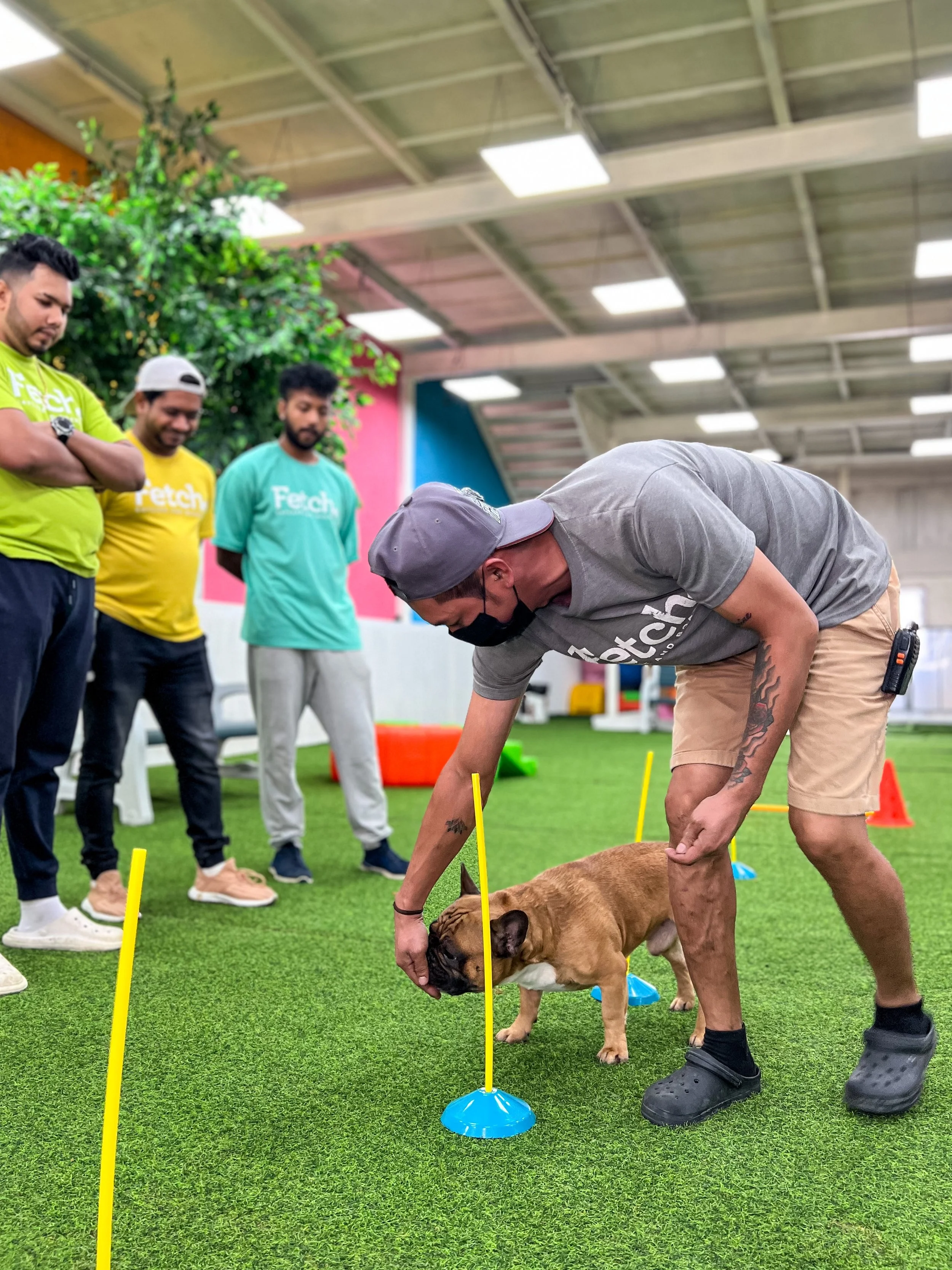 Force-free dog training practice session at Fetch Dubai Al Qouz