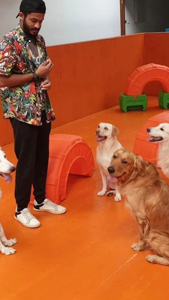 Puppy enjoying enrichment at Fetch Dubai facility Al Qouz