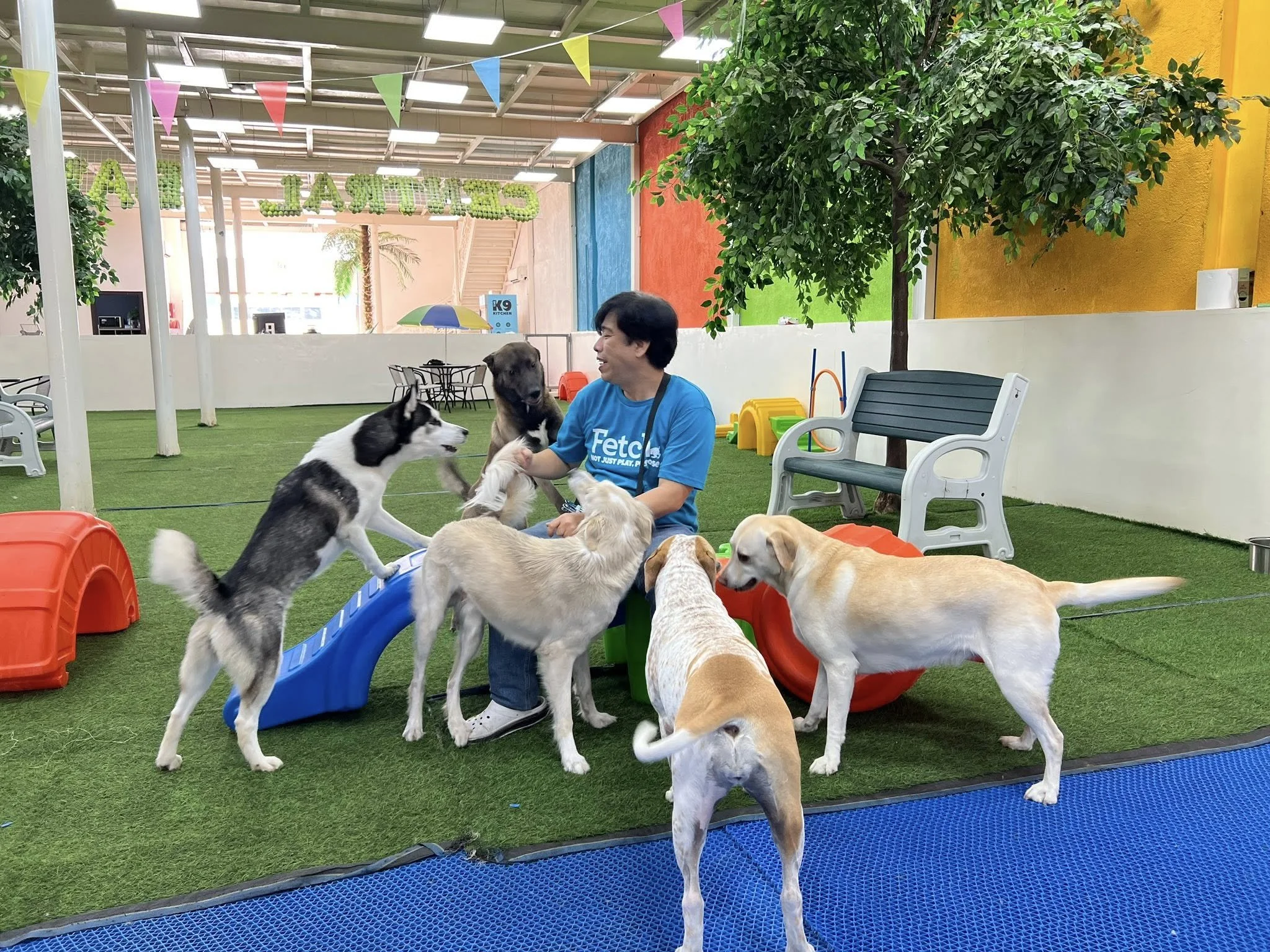 Fetch Dubai handler Reygy engaged with a mixed group of dogs during an enrichment daycare session at Fetch Dubai, Al Quoz.