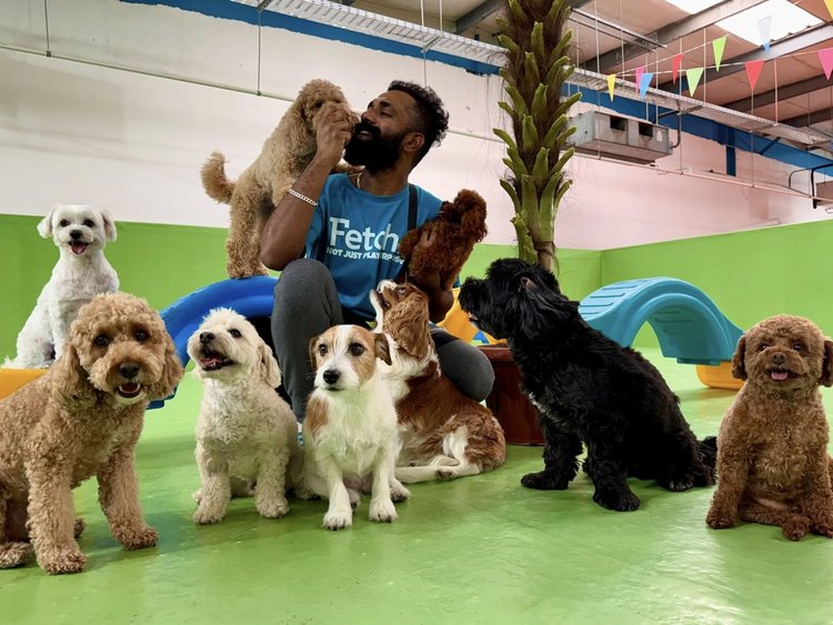 Dogs in enrichment daycare at Fetch Dubai