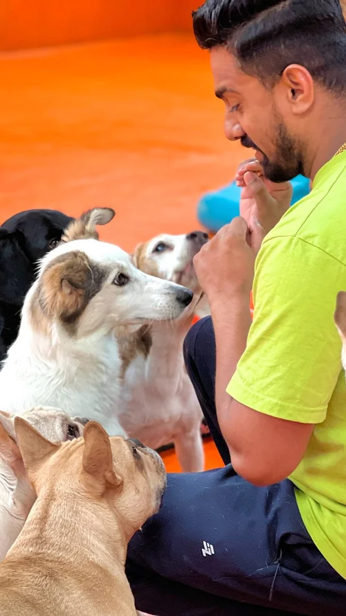 Sit and stay training at Fetch Dubai