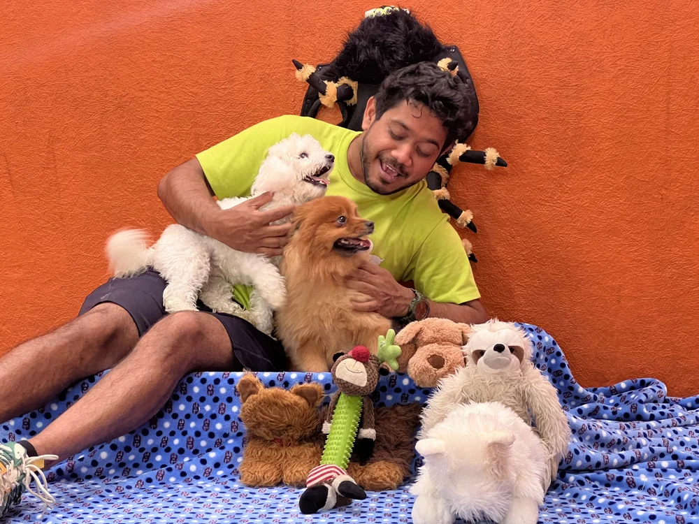 Dog resting contentedly during boarding stay at Fetch Dubai enrichment facility
