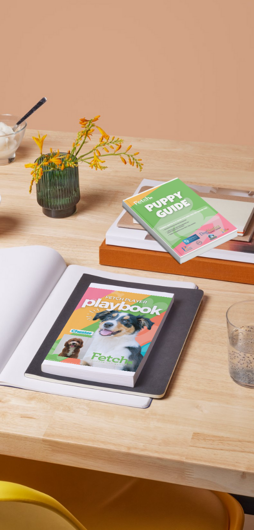 Fetch Dubai puppy fundamentals guidebook