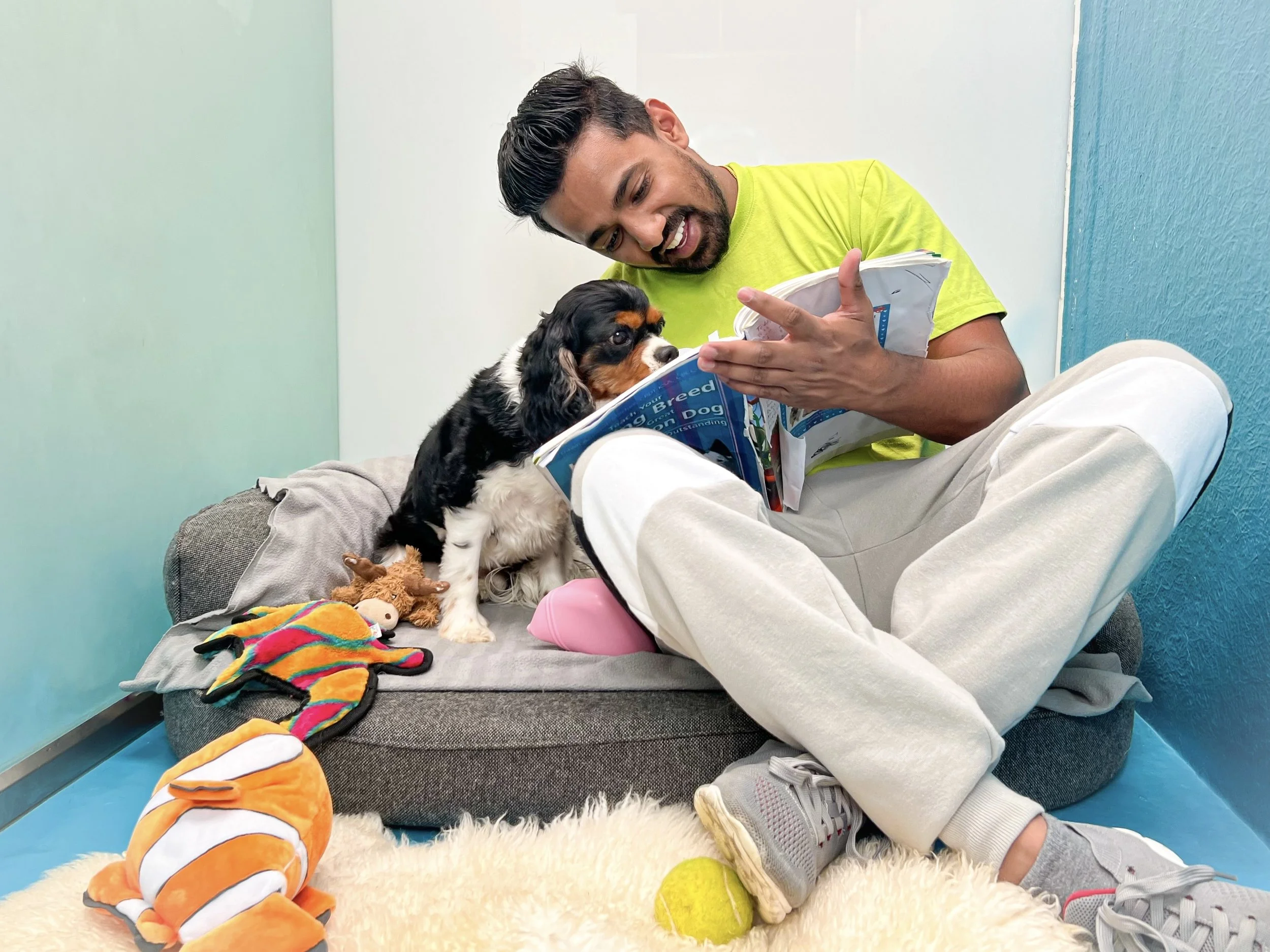 Fetch Dubai boarding dog comfortable with familiar handlers in Al Qouz facility