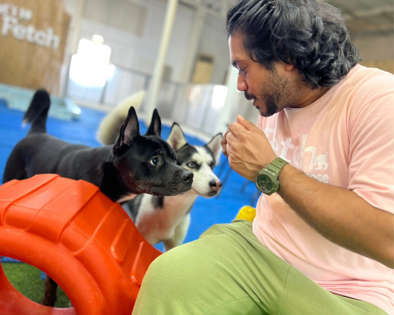 Fetch Dubai handler Anji works with Kobe and Kylie, rescue dogs boarding at Fetch Dubai and available for adoption through Animal Action UAE.