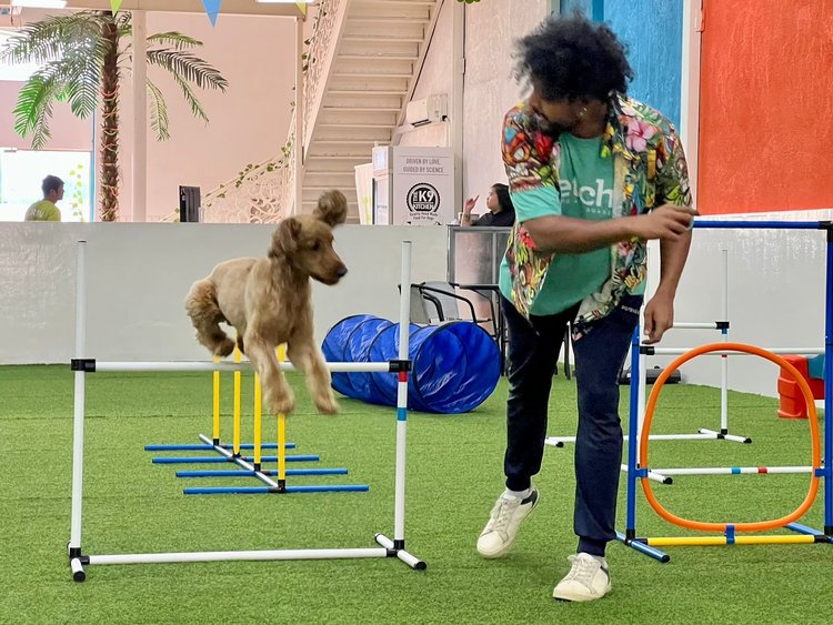 Agility enrichment at Fetch Dubai