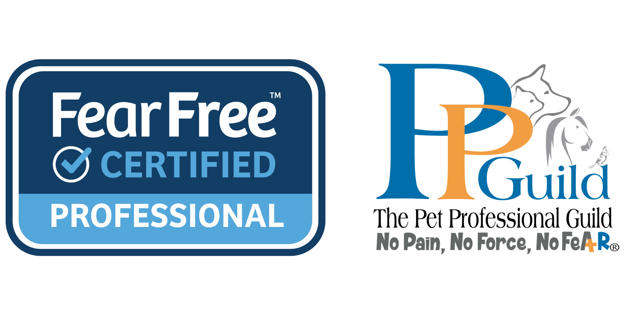 Contact Us Your Premium Dog Care Services Fetchdubai contact-us-your-premium-dog-care-services-fetchdubai