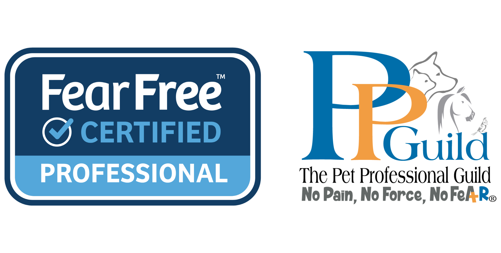 contact-us-your-premium-dog-care-services-fetchdubai