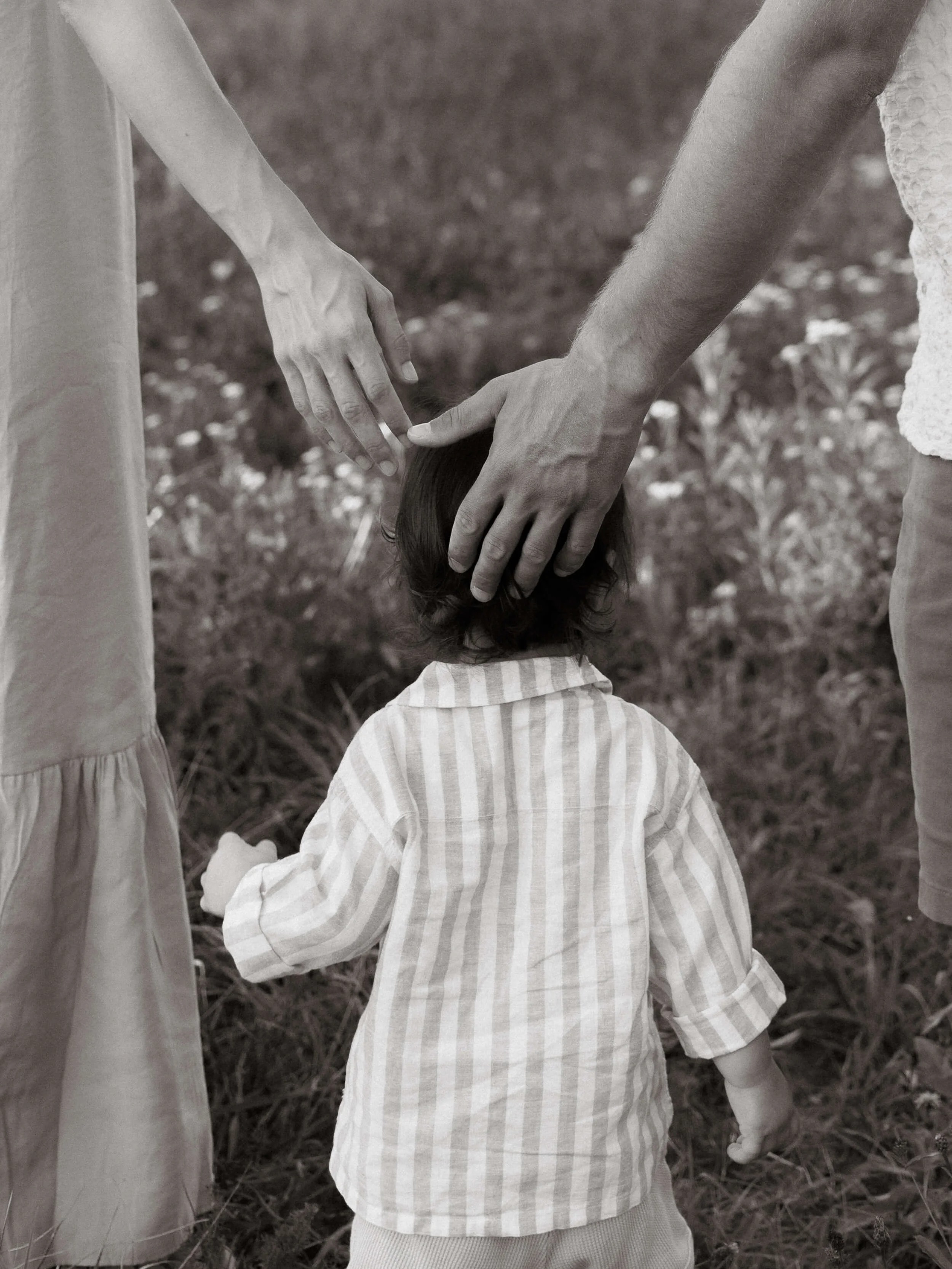 Obitelj šeće po livadi, ruke roditelja na djetetovoj glavi s leđa